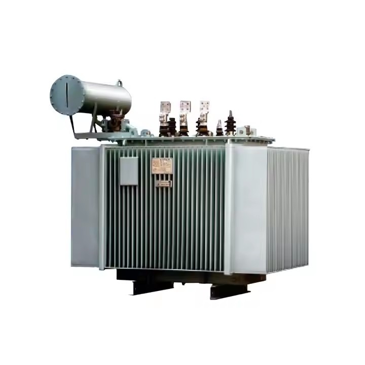 Power Transformer High Voltage Transformern 10kv Oil Immersed Power Transformer / 3