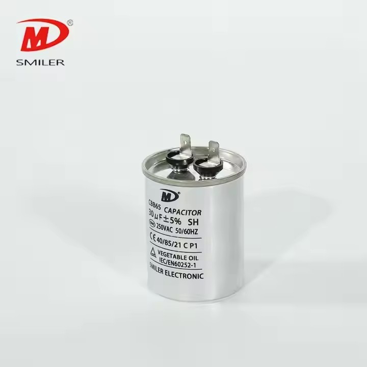 Factory Whosale Power Factor 450VAC 55UF Correction Capacitor Same As EPCOS Dimension CAPACITOR / 2